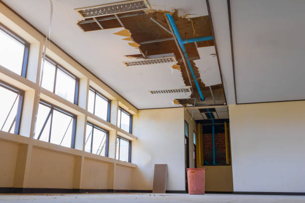 Best Ceiling water damage repair  in Alamo, GA