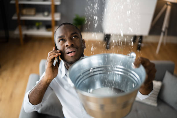 Best Sewage cleanup and water damage restoration  in Alamo, GA