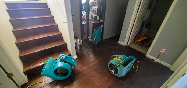 Best Water damage contractors near me  in Alamo, GA
