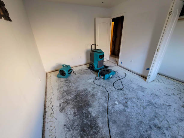  Alamo, GA Water damage restoration Pros