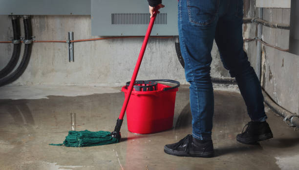 Best Flood restoration services  in Alamo, GA