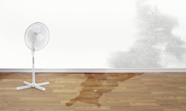 Professional Water damage restoration in Alamo, GA