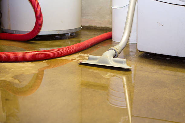 Best Fire Damage Restoration  in Alamo, GA