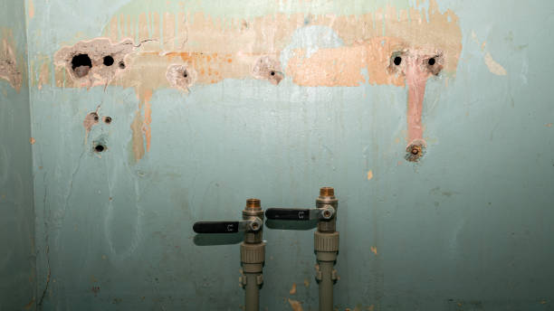 Water damage restoration experts in Alamo, GA