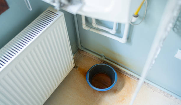 Best Water damage restoration experts  in Alamo, GA