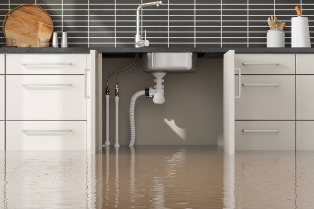 Best Carpet water damage restoration  in Alamo, GA