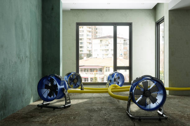 Best Water damage restoration near me  in Alamo, GA