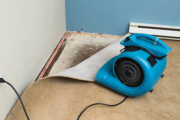 Best Water damage restoration services  in Alamo, GA